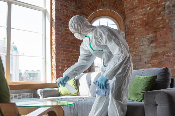 Why You Should Choose Our Mold Remediation Services in Somerville, TN